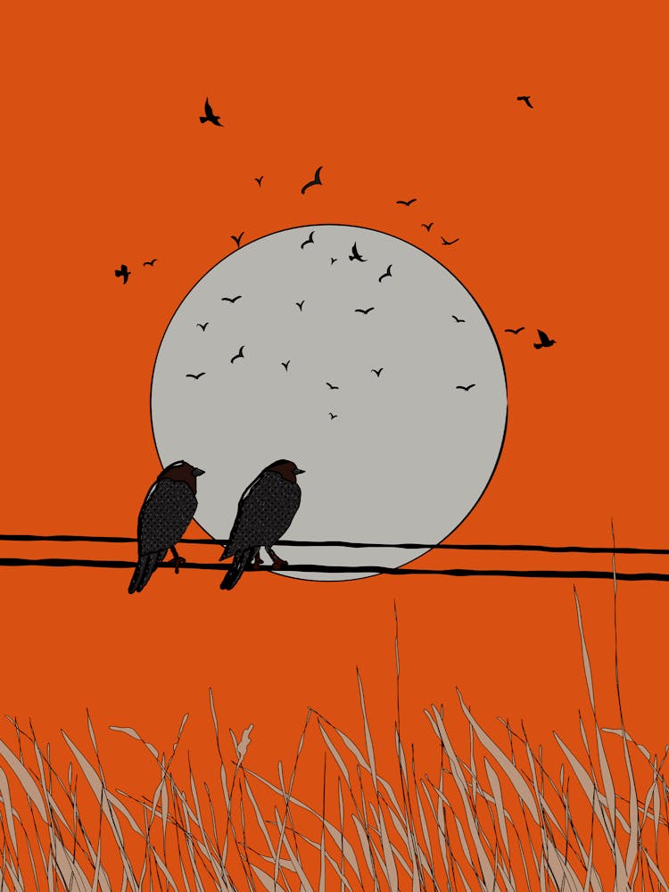 Birds On A Wire