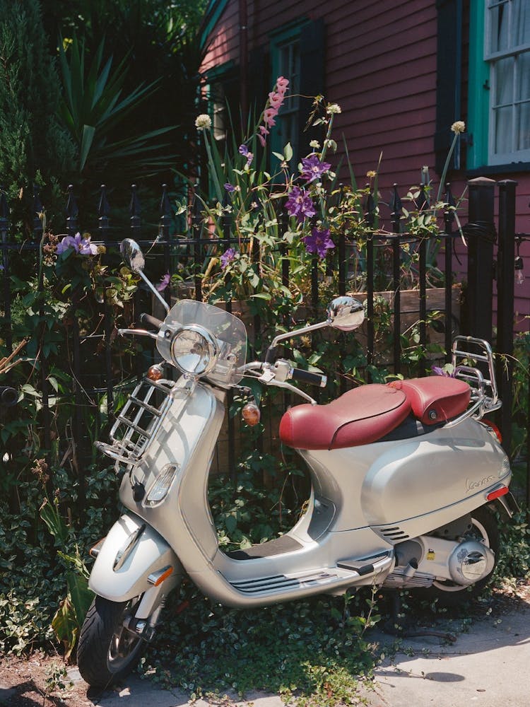 New Orleans Ride IV on Film