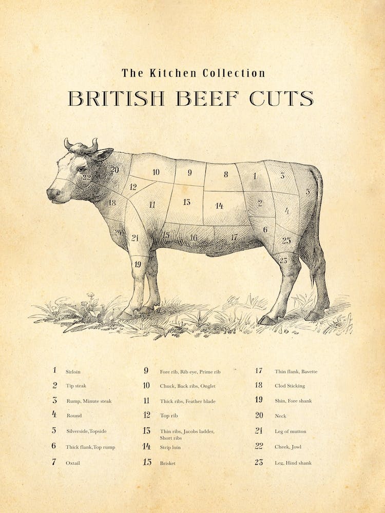 British Beef Cuts Butcher Chart