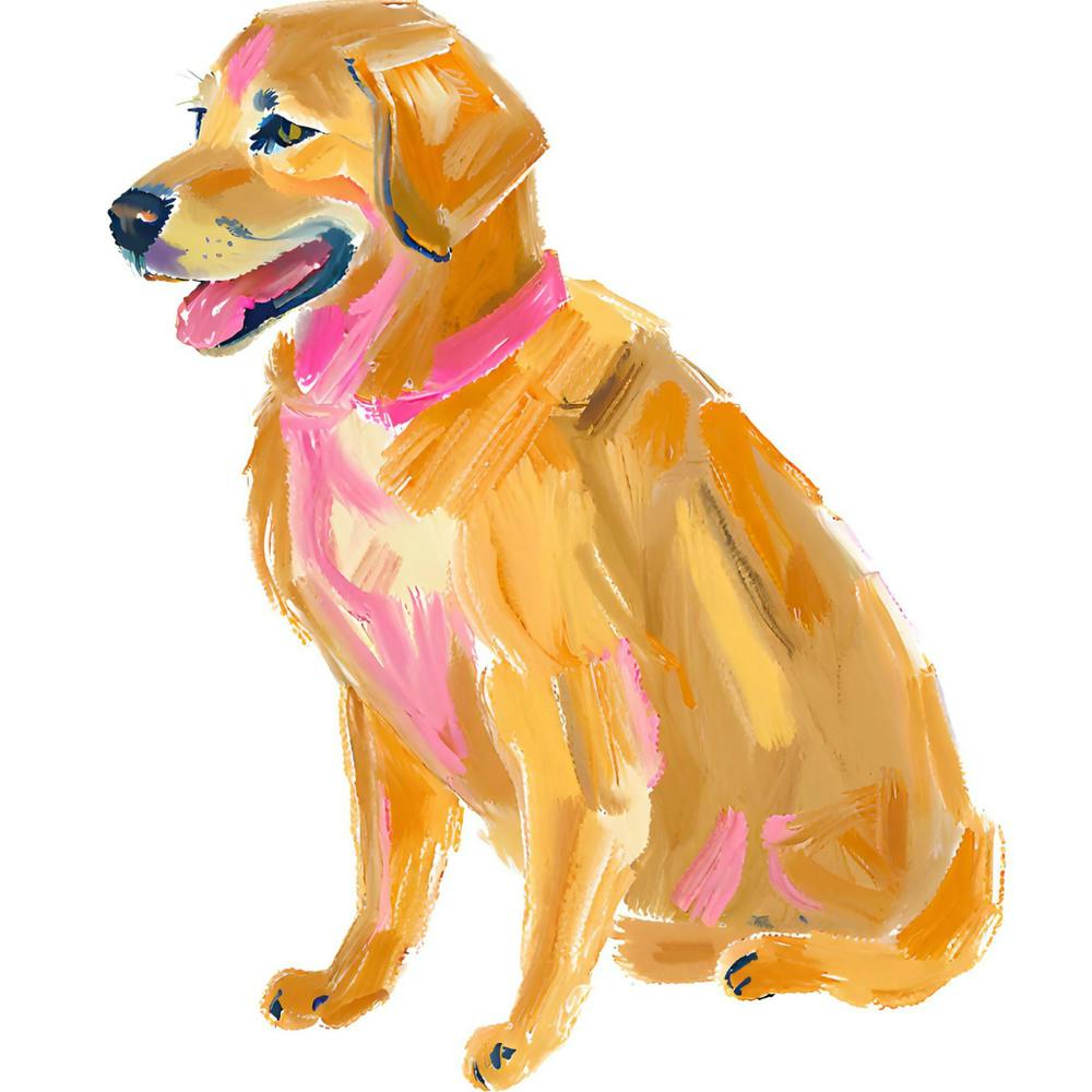 Golden Retriever 03