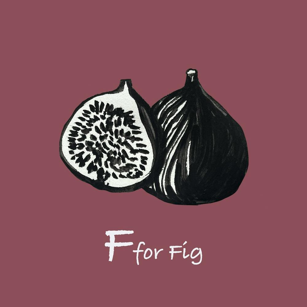 Figue 16x16