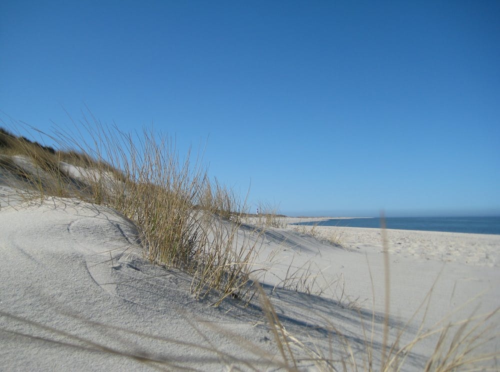 Sand Dunes 3