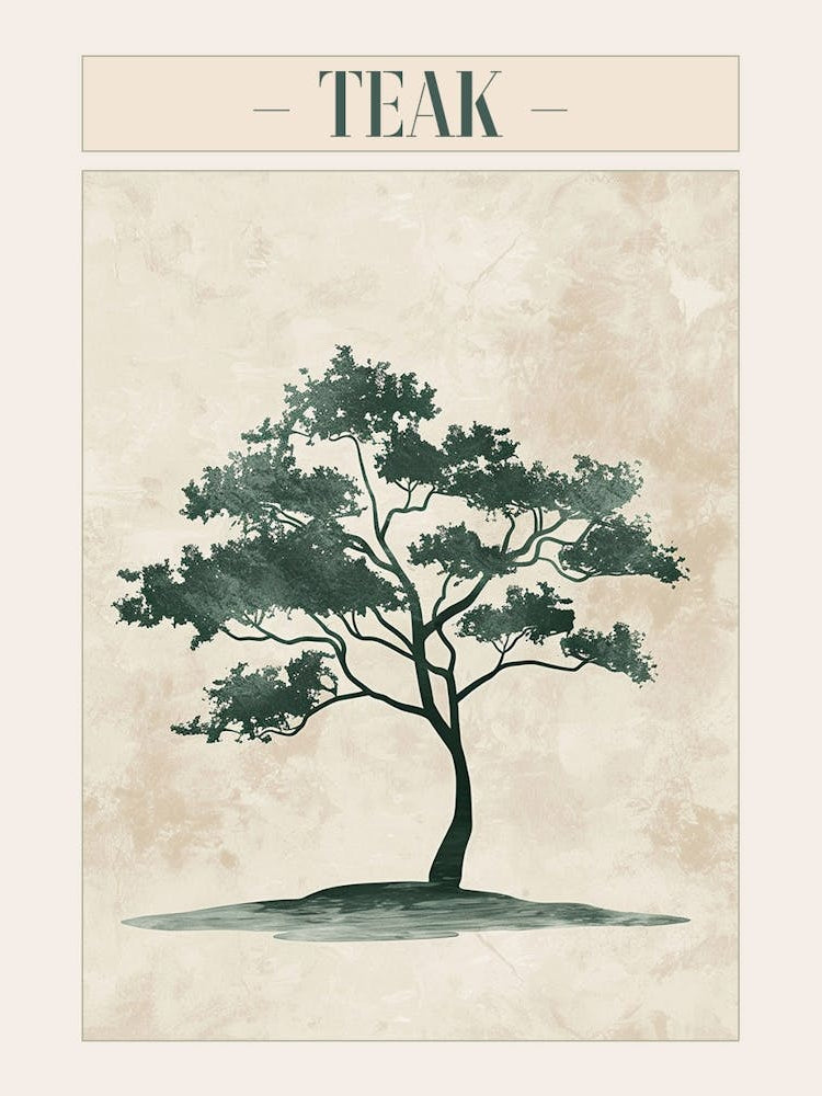 Teak Tree Minimal Japandi Illustration 1 Poster