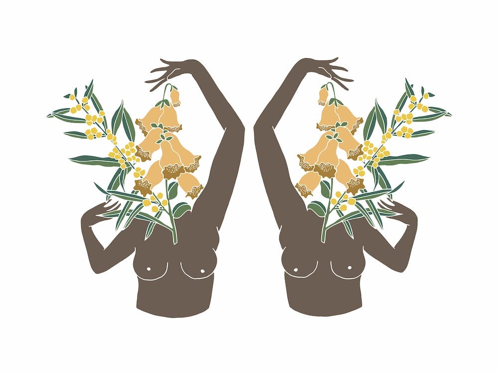 Wattle And Foxglove