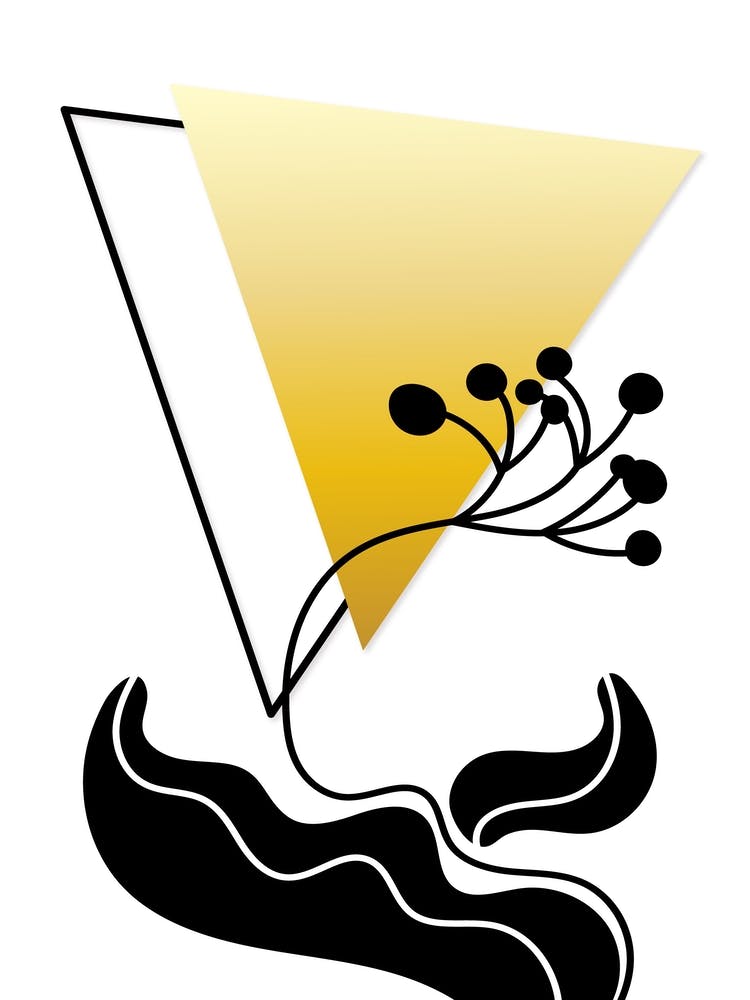 Black and Gold Geo-Botanical