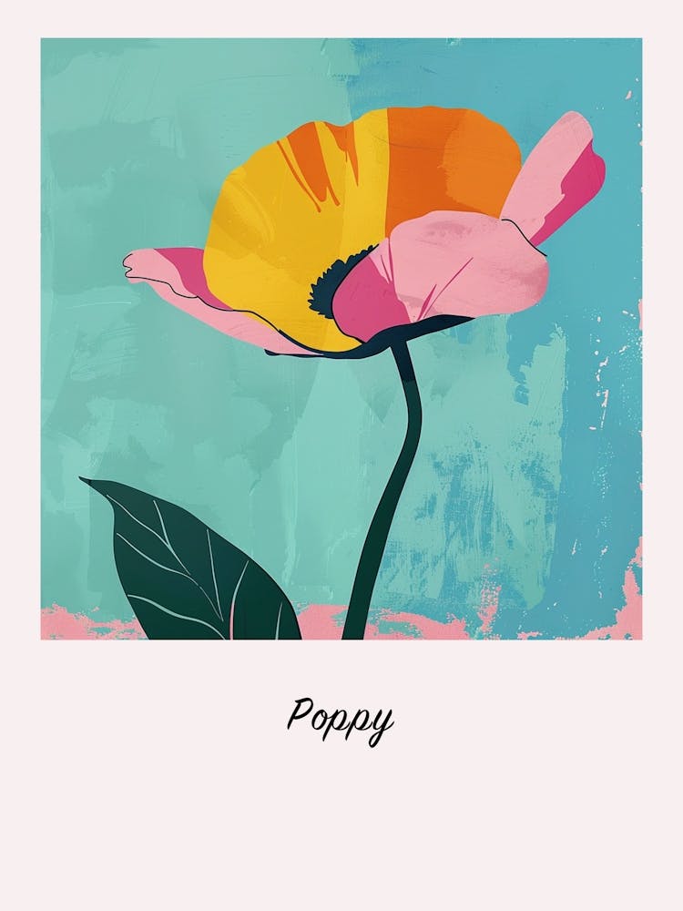 Poppy 1 Square Flower Illustration Poster