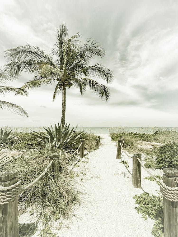 Path To The Beach Vintage