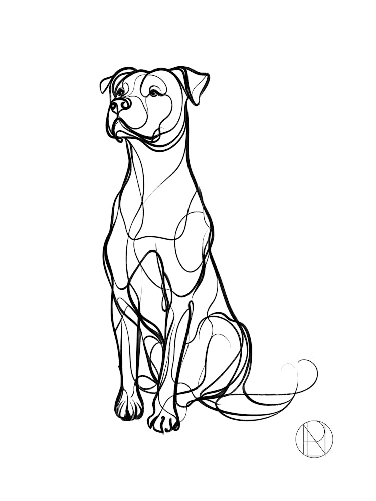 Elegant Line Pitbull 1