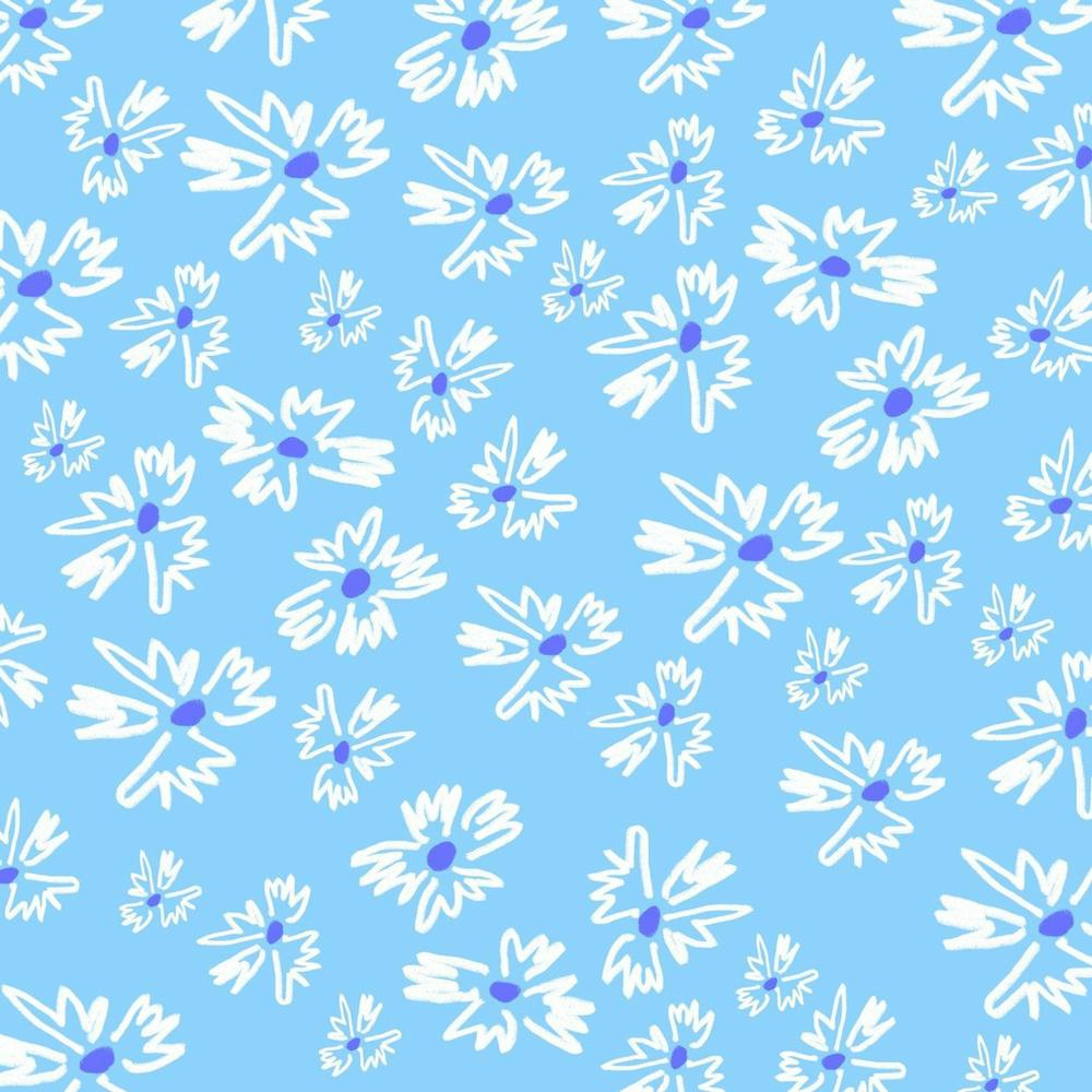 Daisies On A Blue Background
