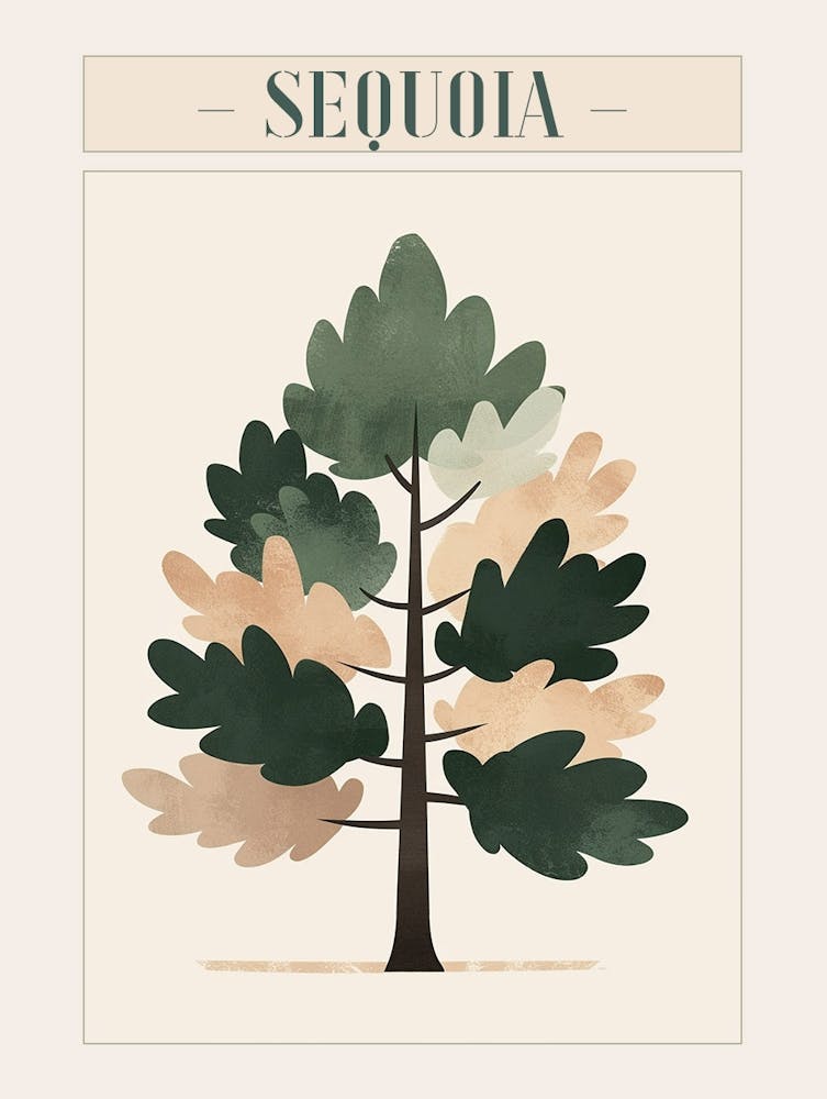 Sequoia Tree Minimal Japandi Illustration 4 Poster