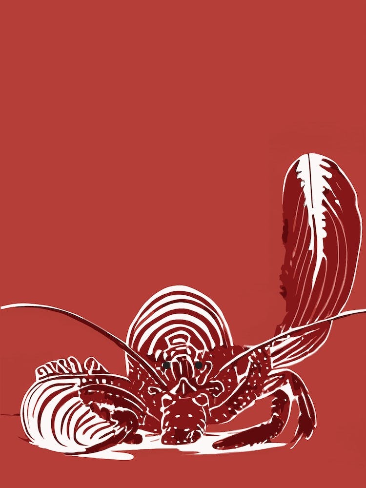 Pinch Me Red Lobster Print