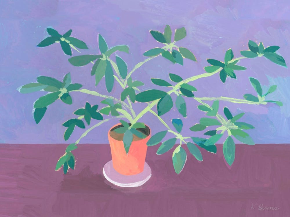 Plant