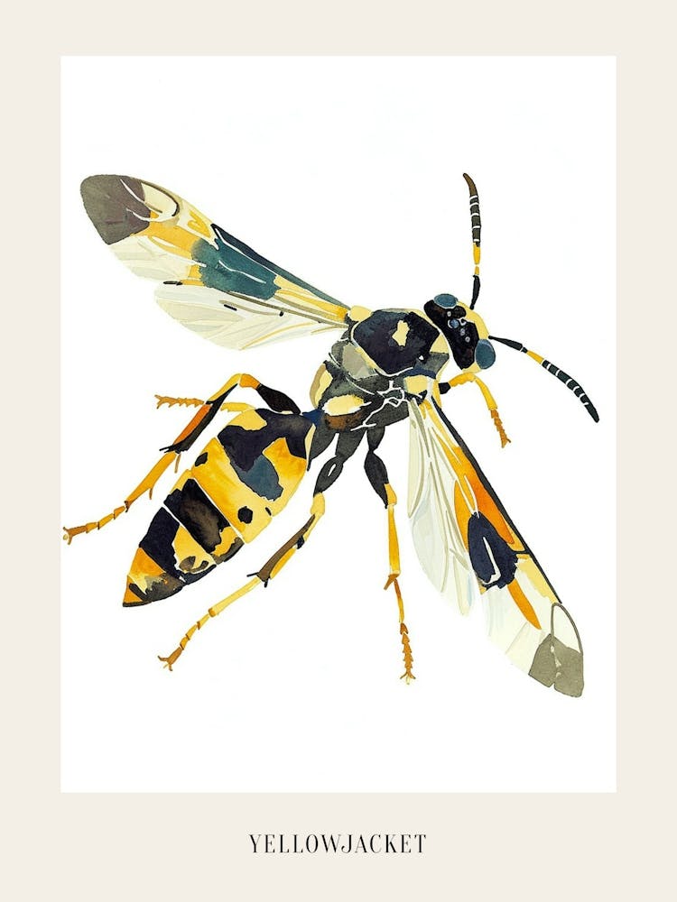 Colourful Insect Illustration Yellowjacket 16 Poster
