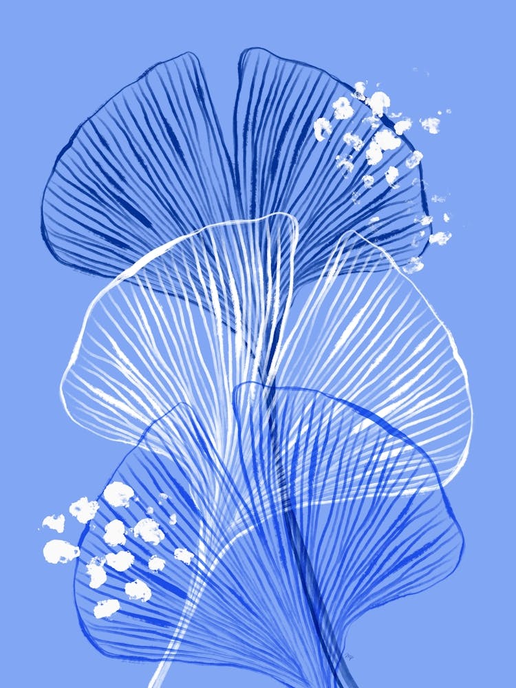 Blue Gingko
