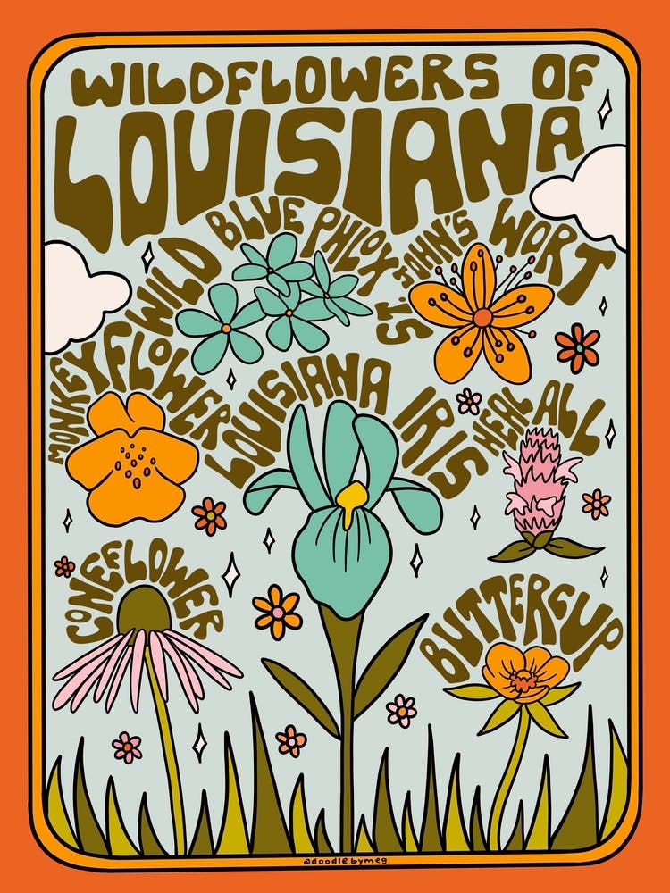 Louisiana Wildflowers
