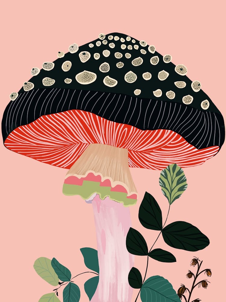 Gartenpilz