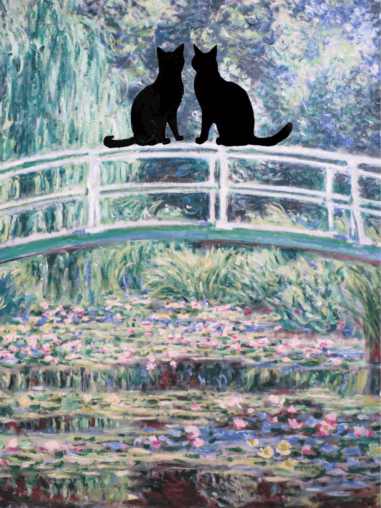 Entre ombre et lumière
