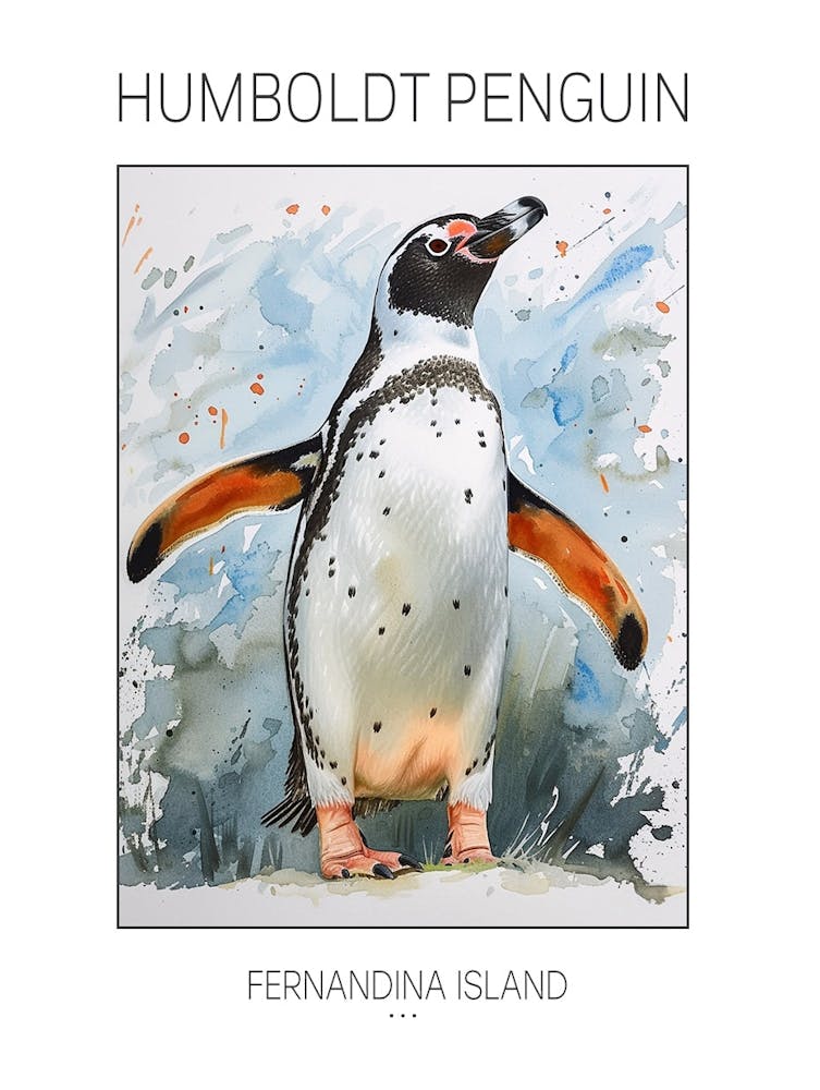Humboldt Penguin Fernandina Island Watercolour Painting 1 Poster