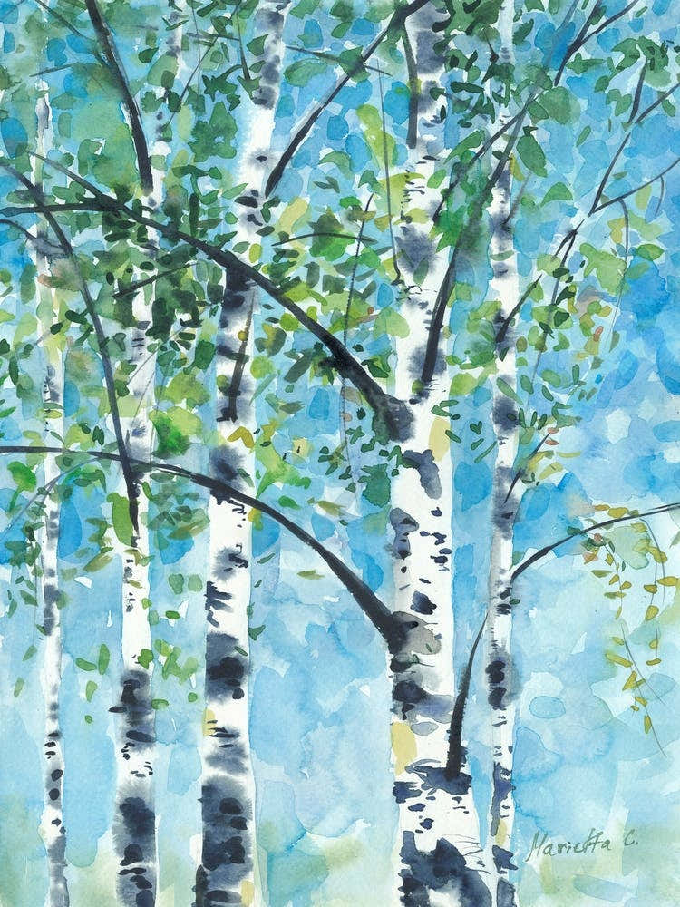 Aspen Tree2