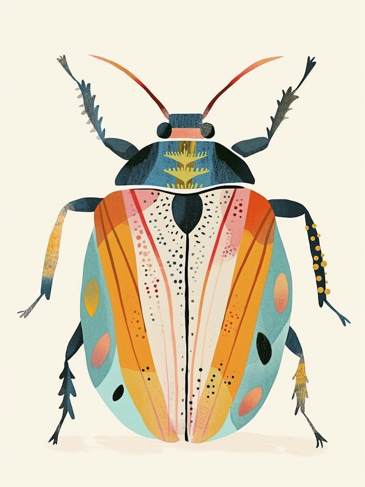 Colourful Insect Illustration June Bug 18