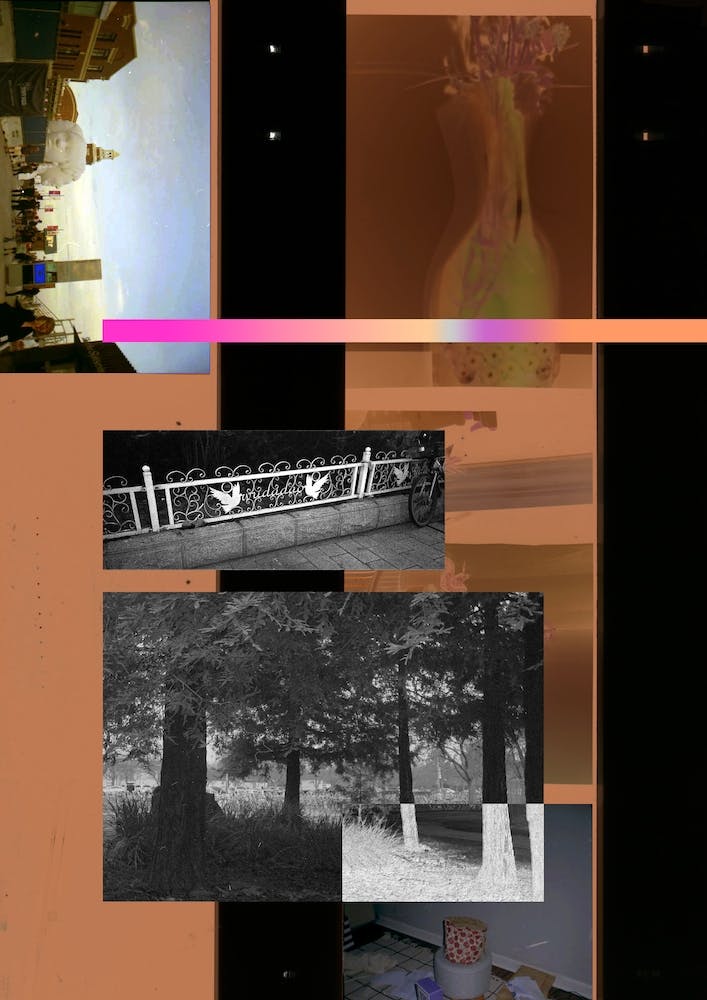 Film Collage 1 Nature