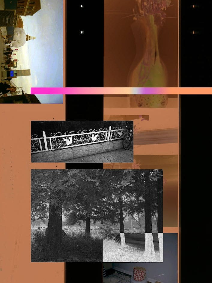 Film Collage 1 Nature