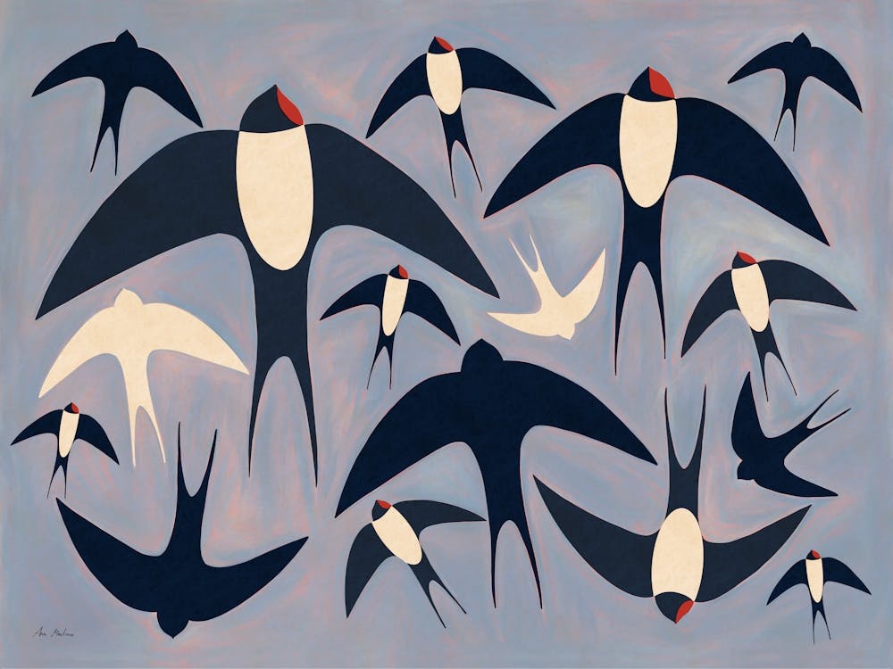 Volée d'Hirondelles