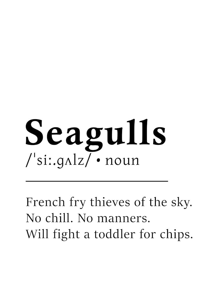 Seagulls Definition Poster - Dictionary