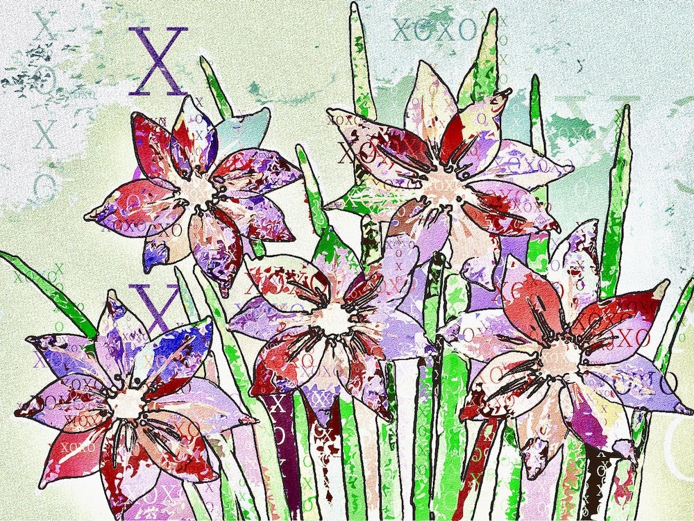 Daffodils