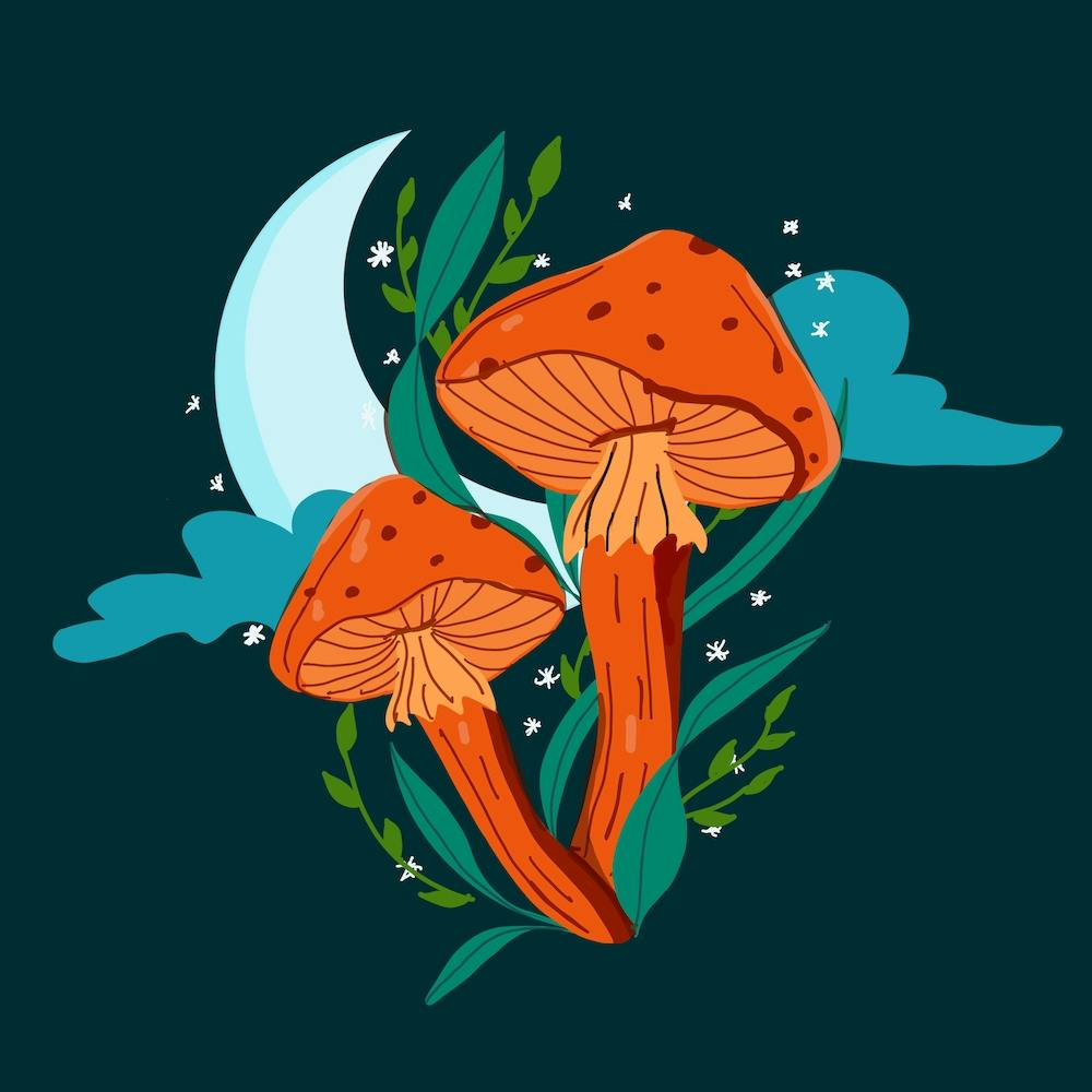 Magic Moonlight Mushroom Square