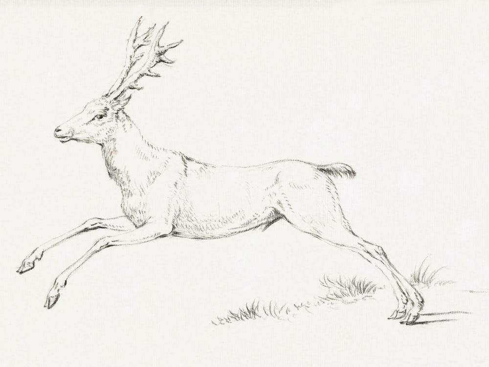 Jumping Deer, Jean Bernard