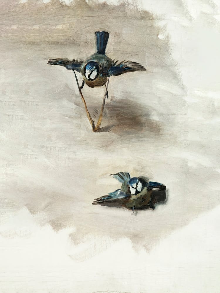 Studies Of A Dead Bird (1878), John Singer Sargent