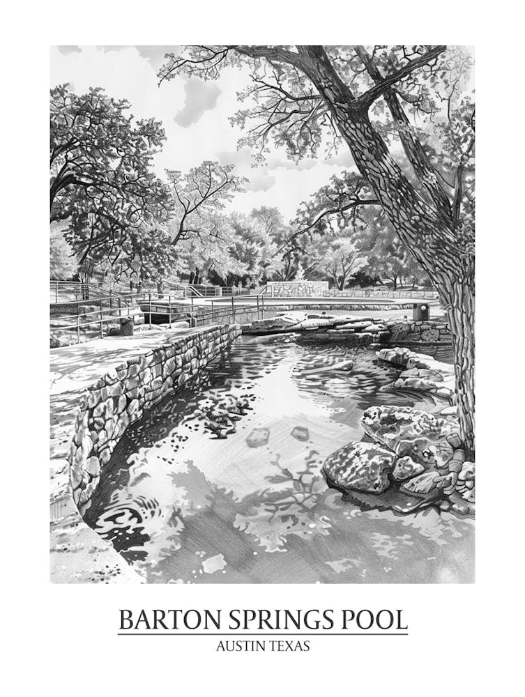 Barton Springs Pool Austin Texas Black And White Drawing 2 Poster
