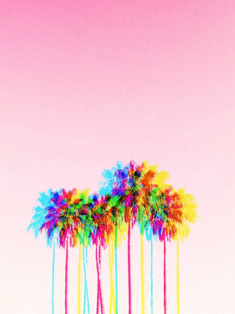 Palm Trees On A Pink Sky