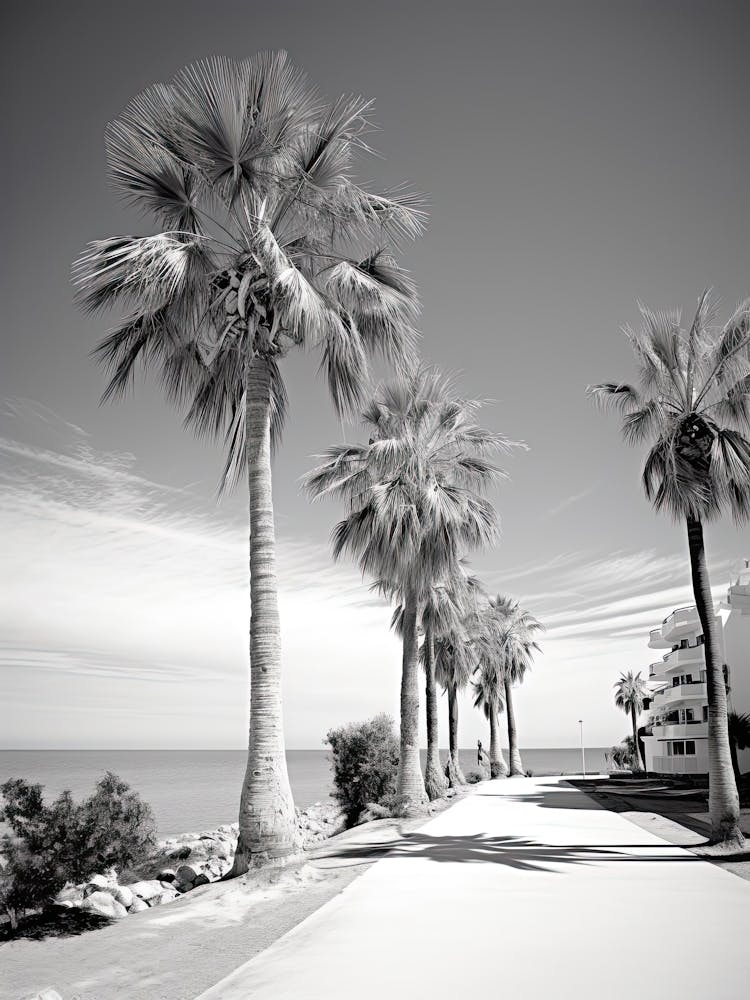Marbella, Spain, Black And White Photography 1