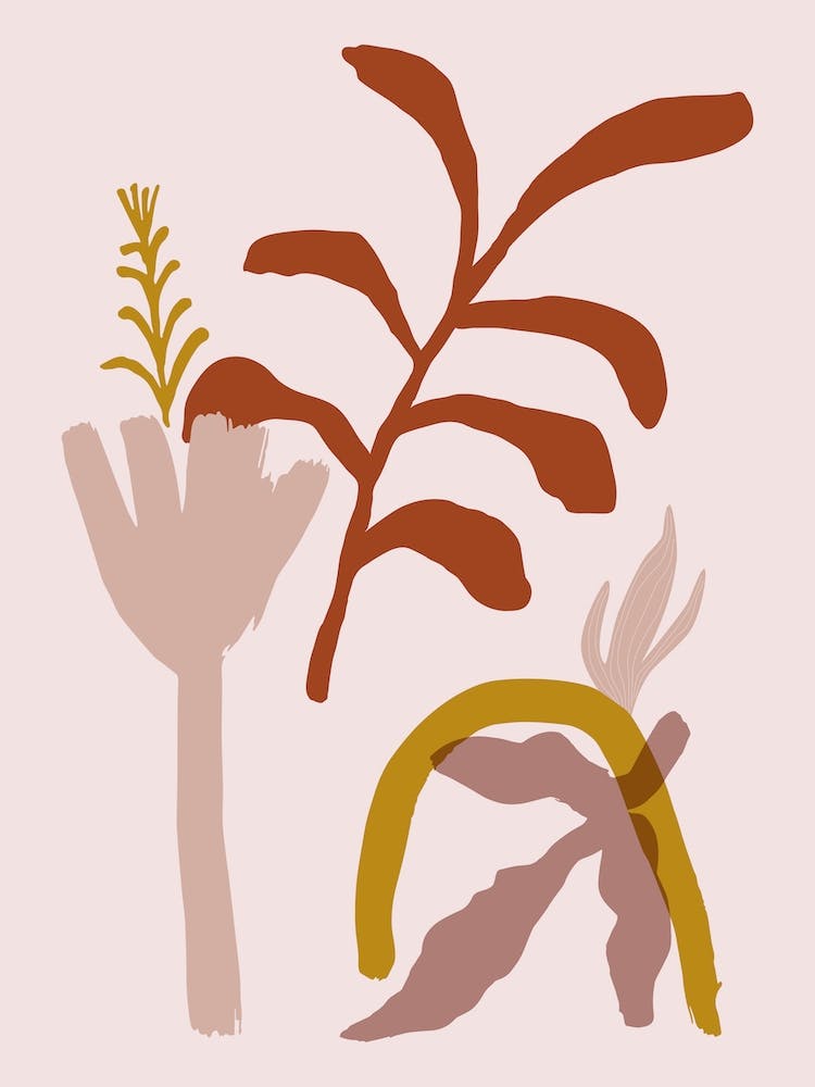 Plant Shapes