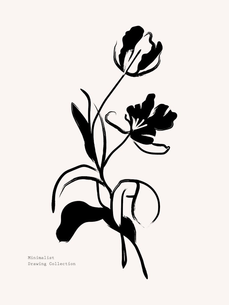 Tulips 1