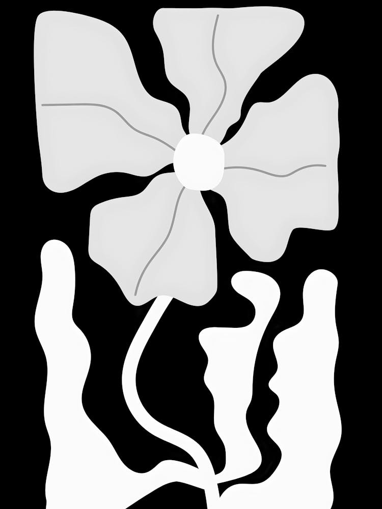 Weiße Blume 5