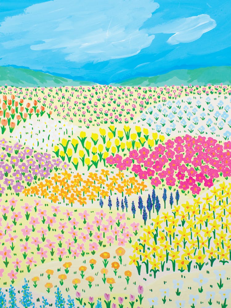 Field Of Flowers