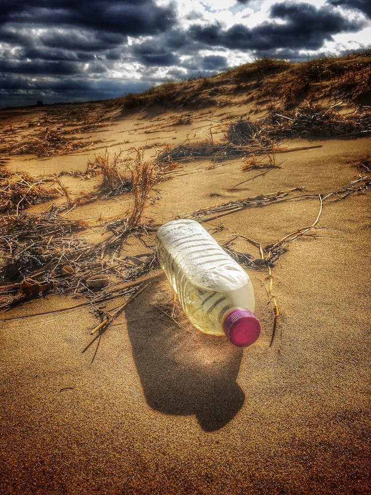 Discarded Plastic Bottle