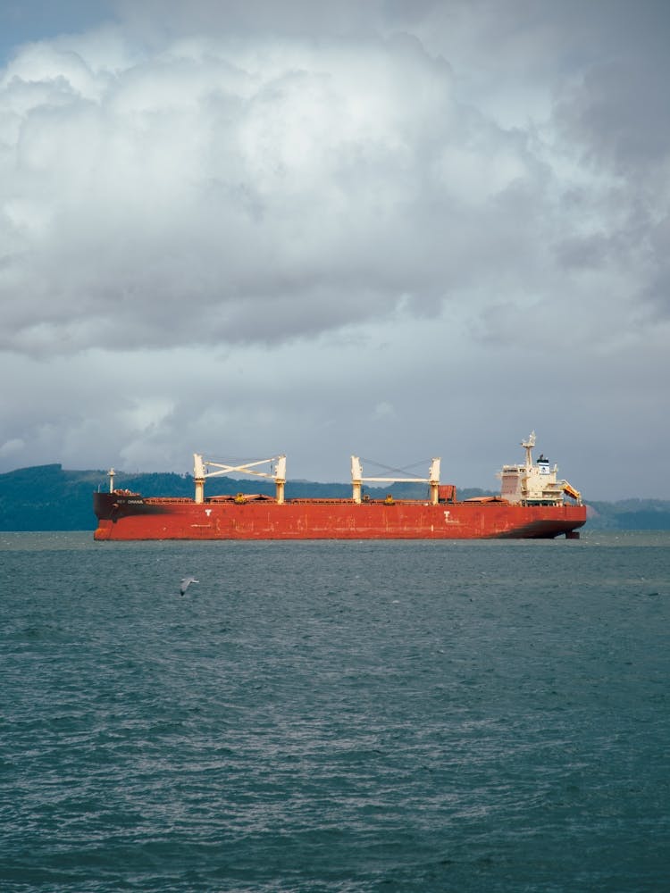 Cargo Ship