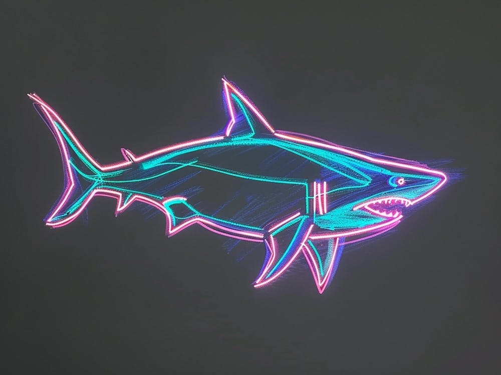 Neon Pastel Pink Blue Shark 8