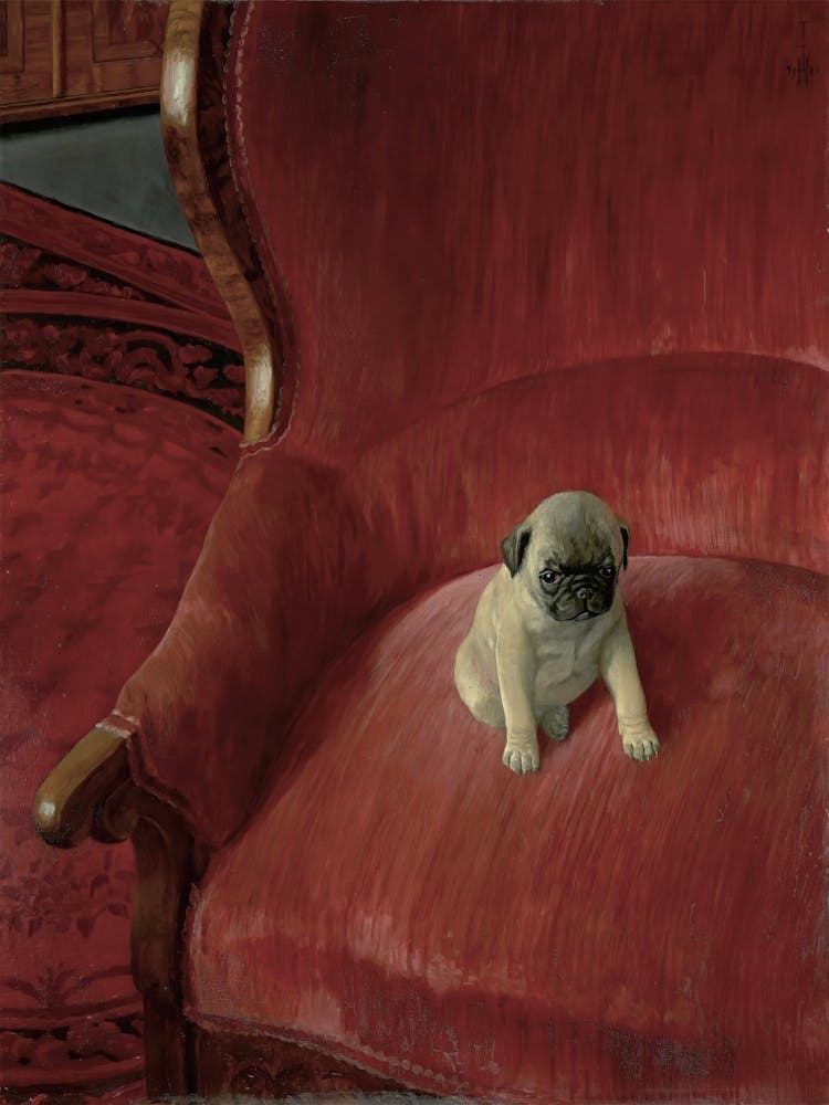 Pug In Red Chair