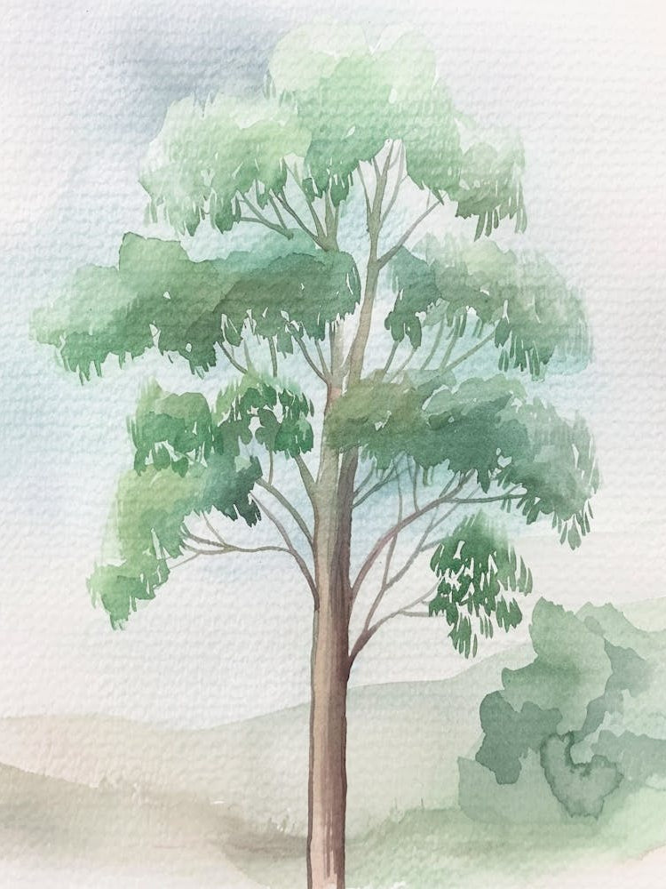 Eucalyptus Tree Atmospheric Watercolour Painting 1