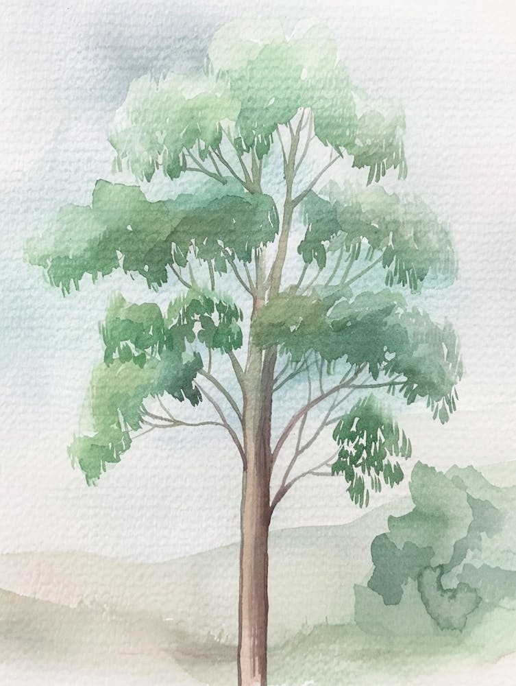 Eucalyptus Tree Atmospheric Watercolour Painting 1
