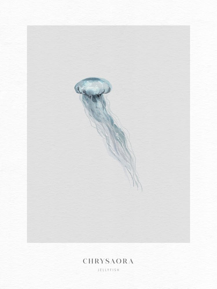 Boho Ocean 2 Jellyfish