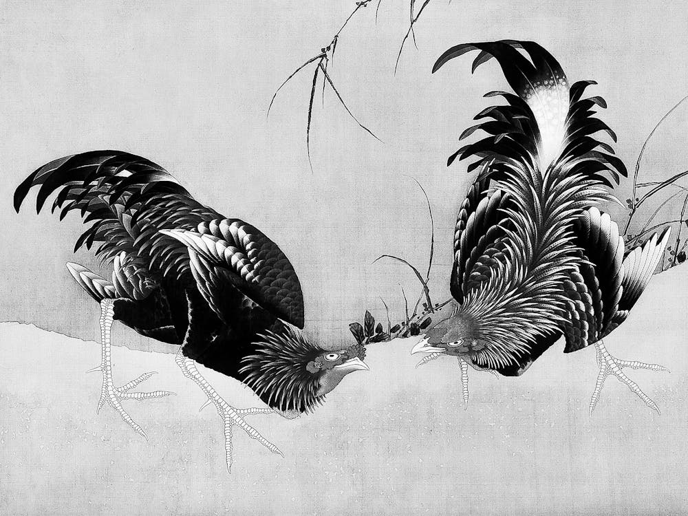 Rooster In The Snow