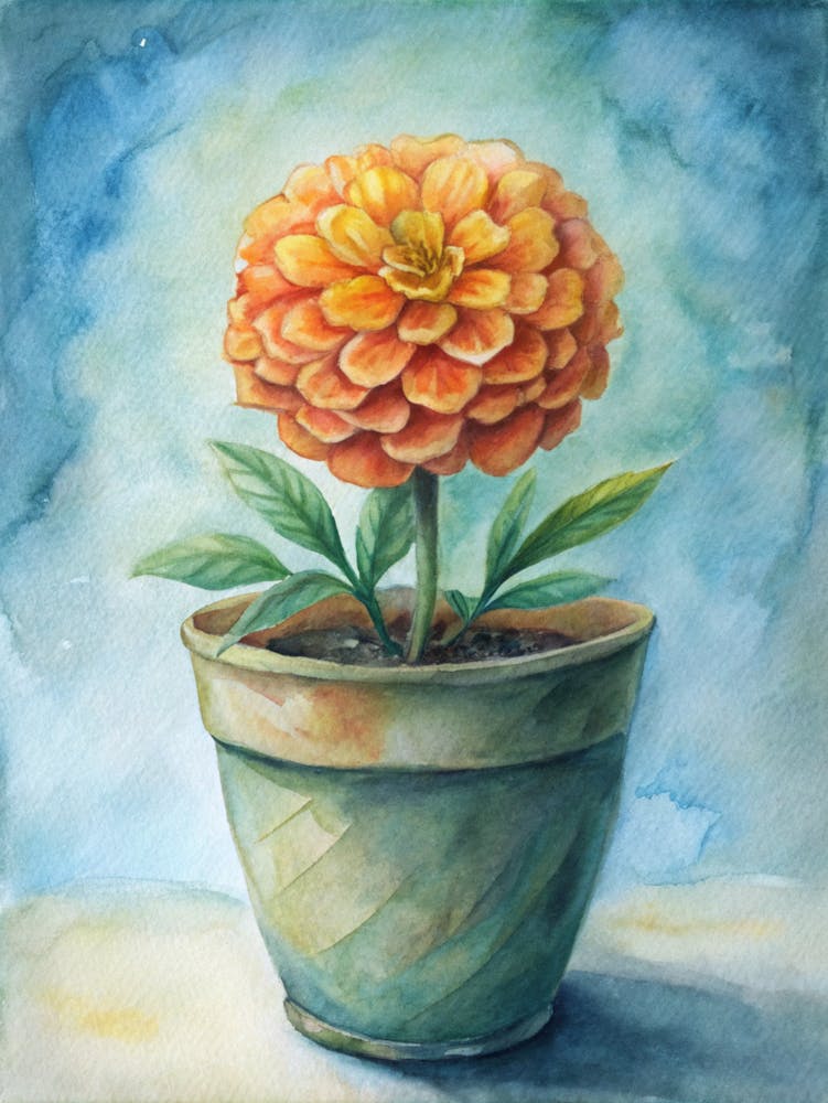 Dahlia 3
