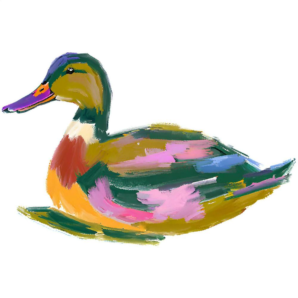 Duck 06 1