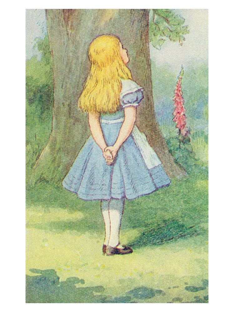 Alice And The Cheshire Cat From Alice In Wonderland